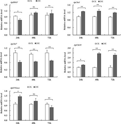 Effects of abiotic stresses on the expression of chitinase-like genes in Acyrthosiphon pisum